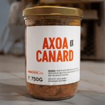 axoa-canard