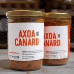 axoa-canard