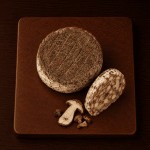 polisson-cepes